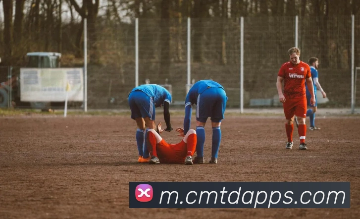 多媒体互动体验